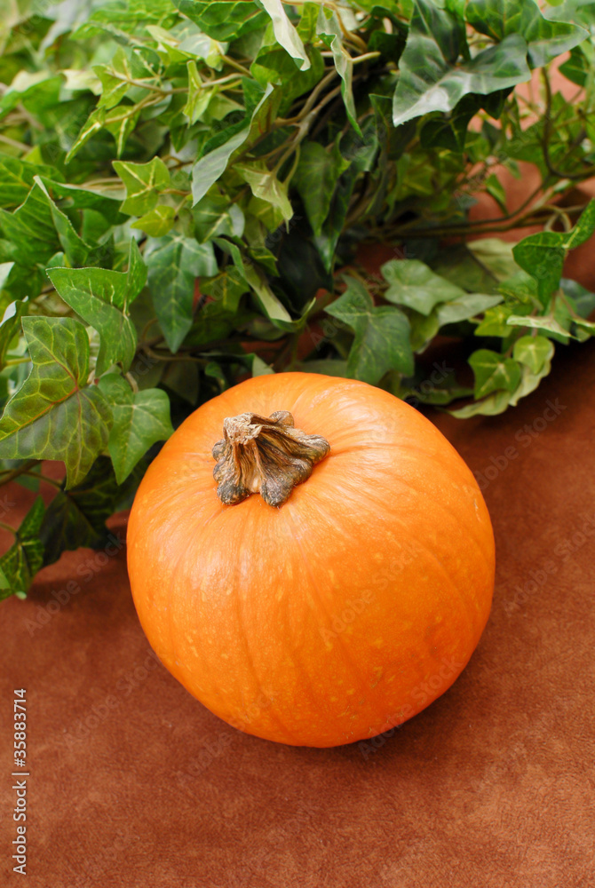 Obraz premium Pumpkin Next to Leaves