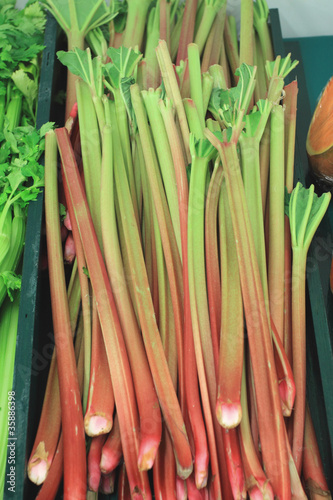 branch of fresh rhubarb on a market stall