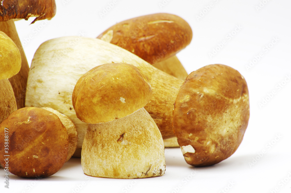 mushrooms