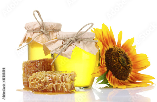 beautiful combs  honey and sunflower isolated on white