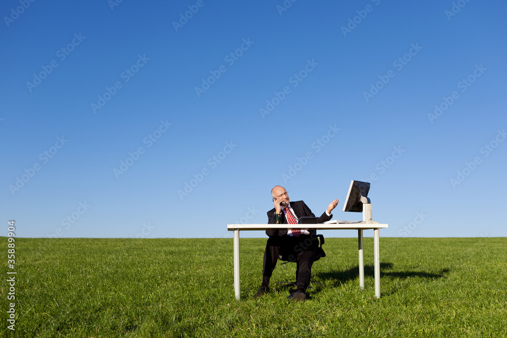 geschäftsmann telefoniert auf der grünen wiese
