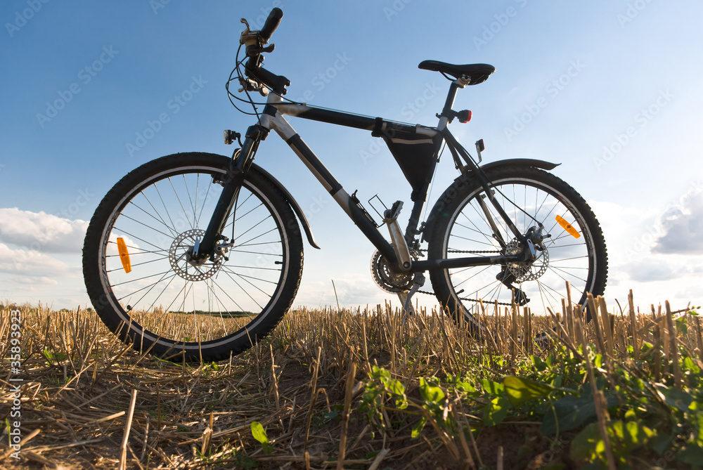 bike bike