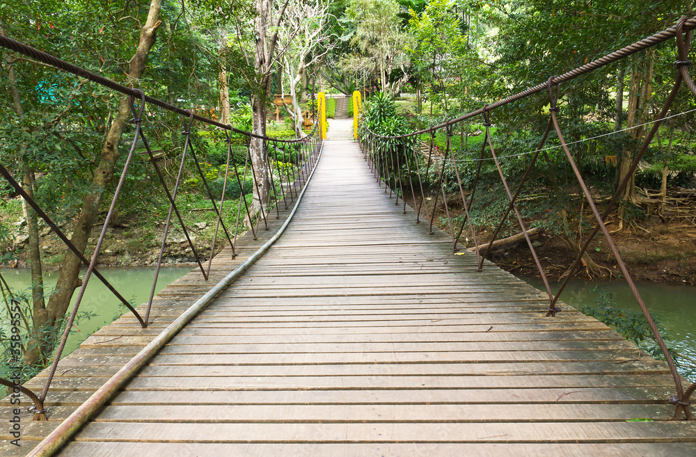 Fototapeta premium Rope walkway through the treetop