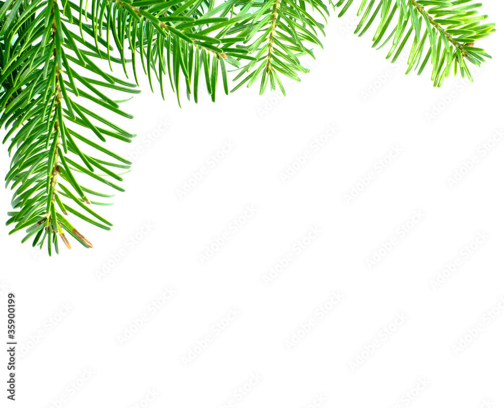 Obraz premium Christmas background