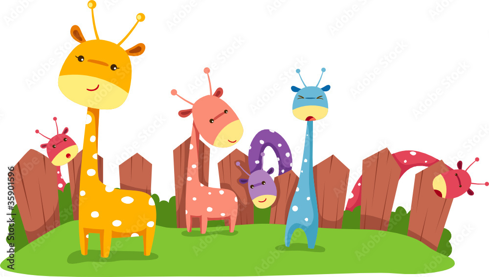 Giraffes Giraffes