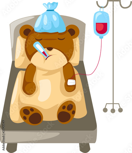 Bear in hospital bed
