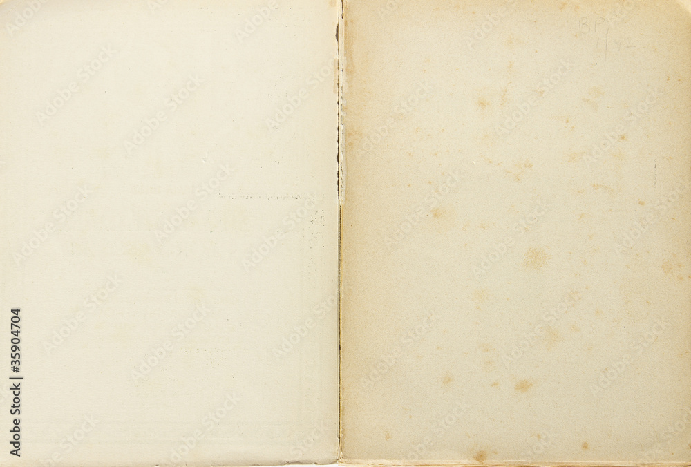 Fototapeta premium Pagine di libro vecchio
