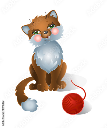 Funny cat