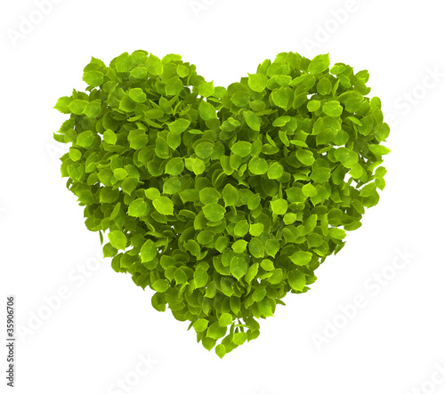 Green leaves heart