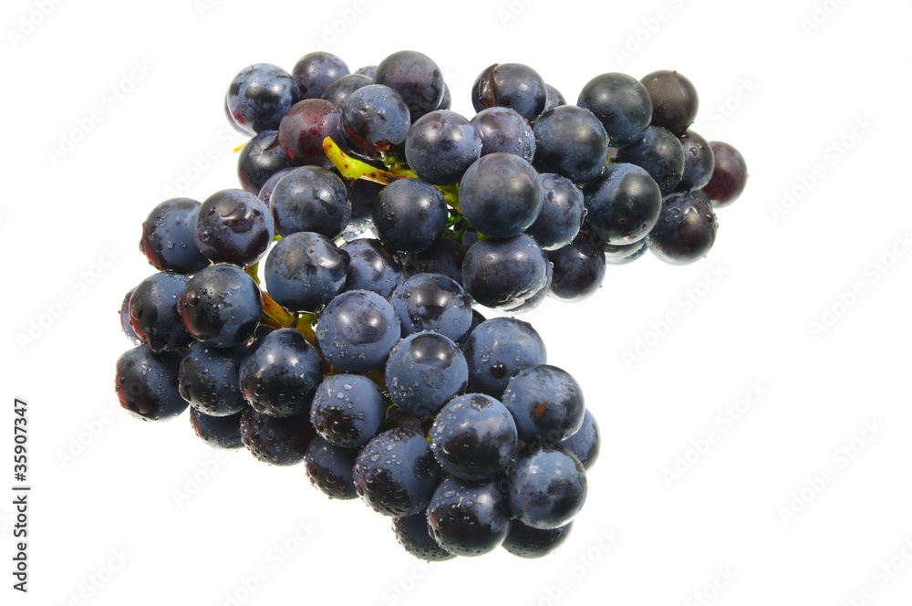 Blue grape Blue grape