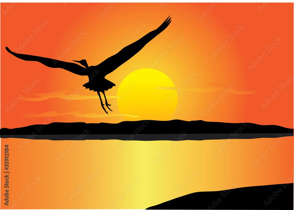 Obraz premium Vector flying bird