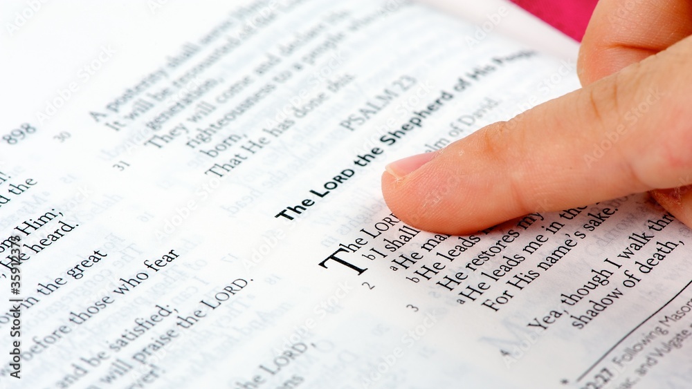 Obraz premium Bible reading