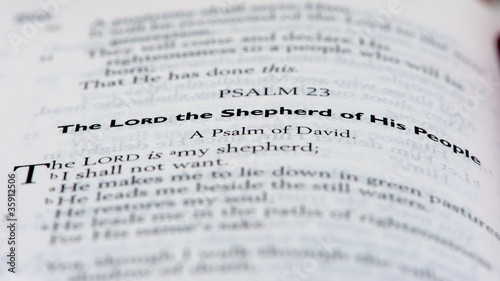 Fotografie The Lord the Shepherd of His People