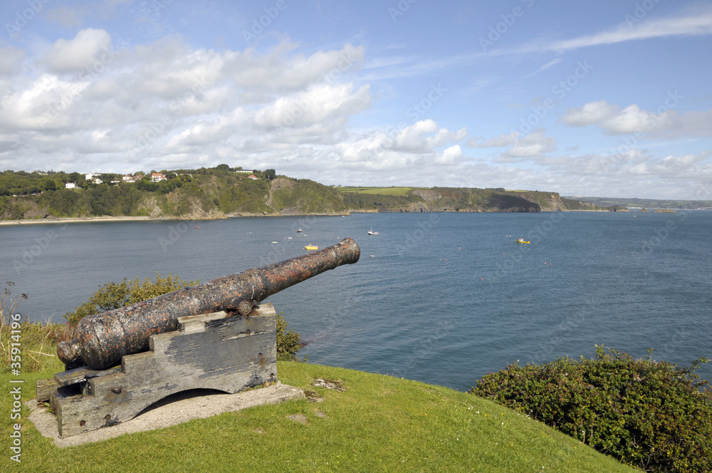 Cannon overlooking North Beach of Tenby Cannon overlooking North Beach of Tenby