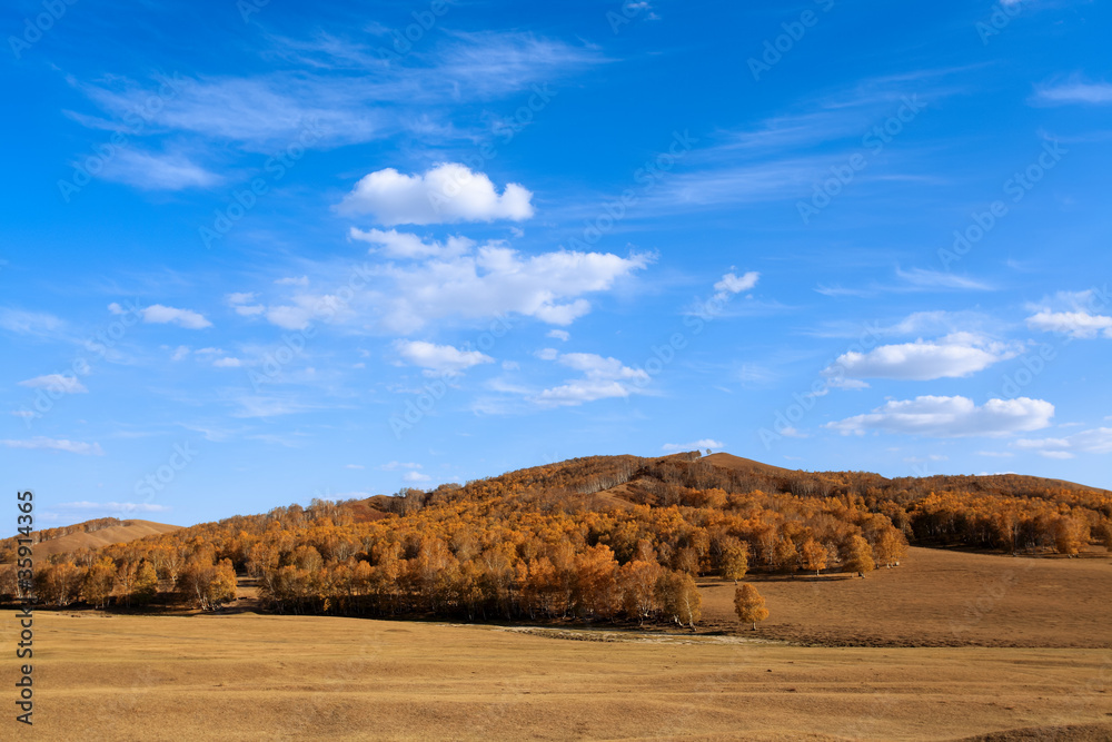 autumn grassland