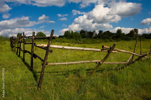 Meadow and wooden fence