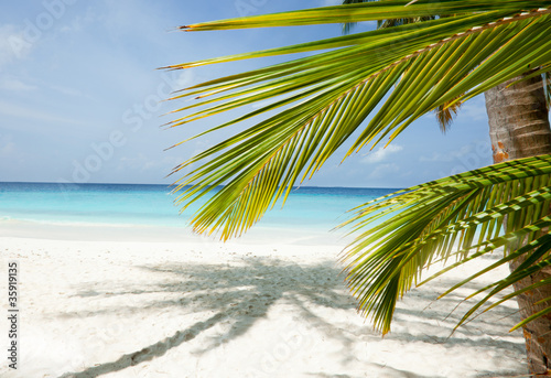 Maldives beach background