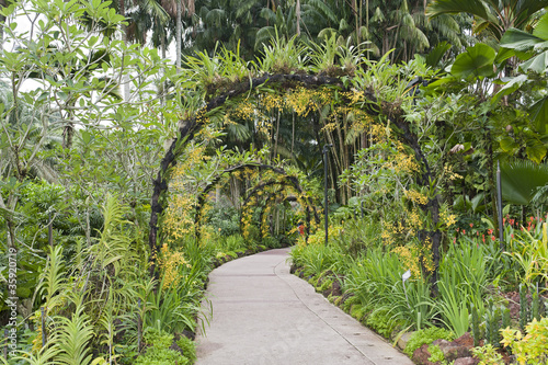 Photography Botanical garden