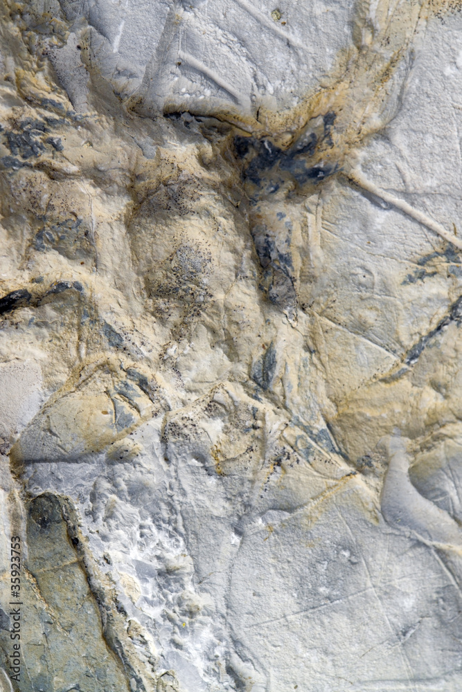Naklejka premium abstract stone detail