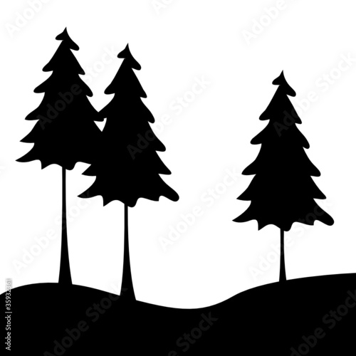 3 tannenbäume