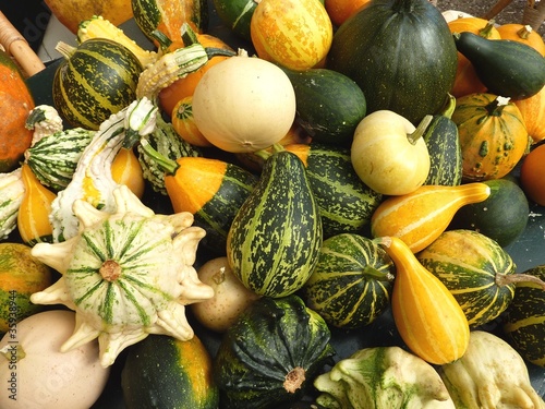 Colorful calabashes in autumn photo