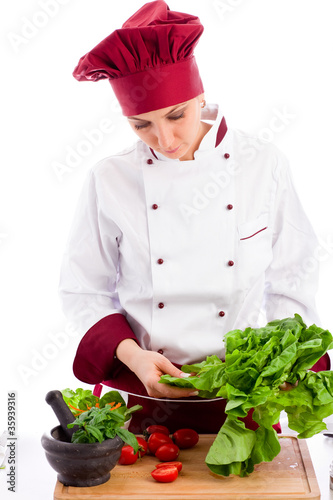 Chef Gastronomico photo