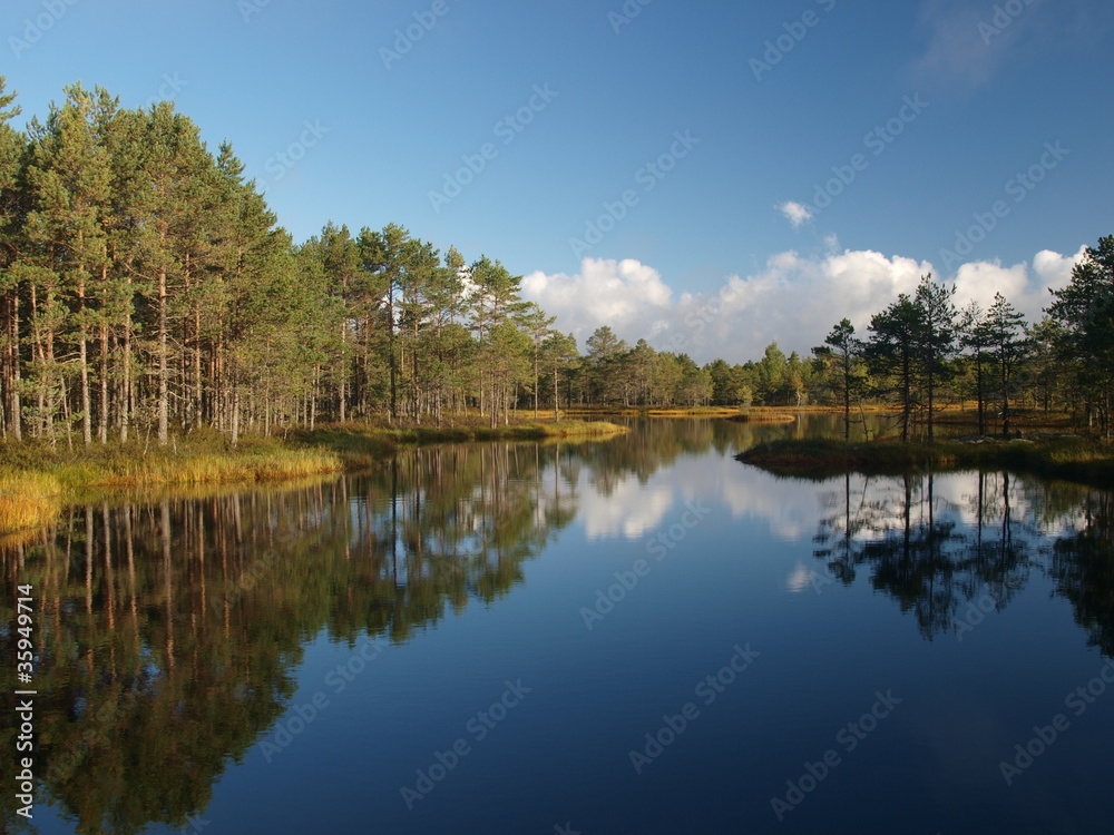 Landscape of Kõnnu Suursoo (Suru Bog) Landscape of Kõnnu Suursoo (Suru Bog)