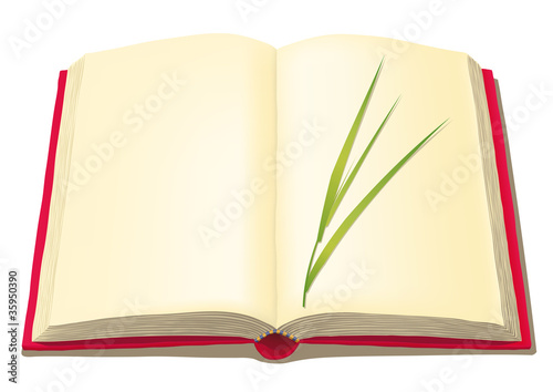 libro aperto