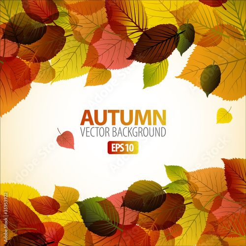 Vector Autumn abstract background with colorful leafs