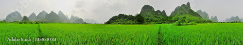 Yangshuo Parorama Kastberge Reisfelder photo