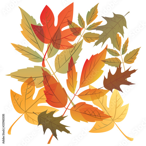 color autumn falling leafs - illustration
