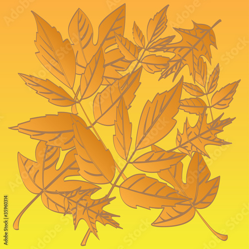 color autumn falling leafs - illustration