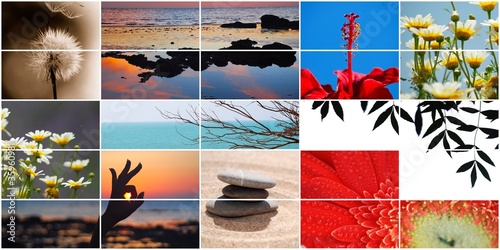 COLLAGE ZEN APAISADO photo