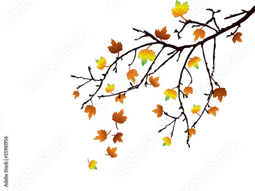Herbstzeit