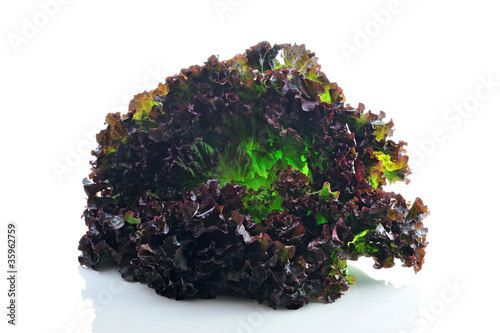 Fototapet Batavia rouge