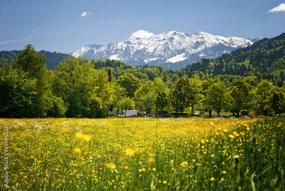 Landscape in the bavarian Alps. Selective focus