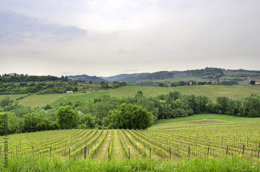 paesaggio collinare in Toscana