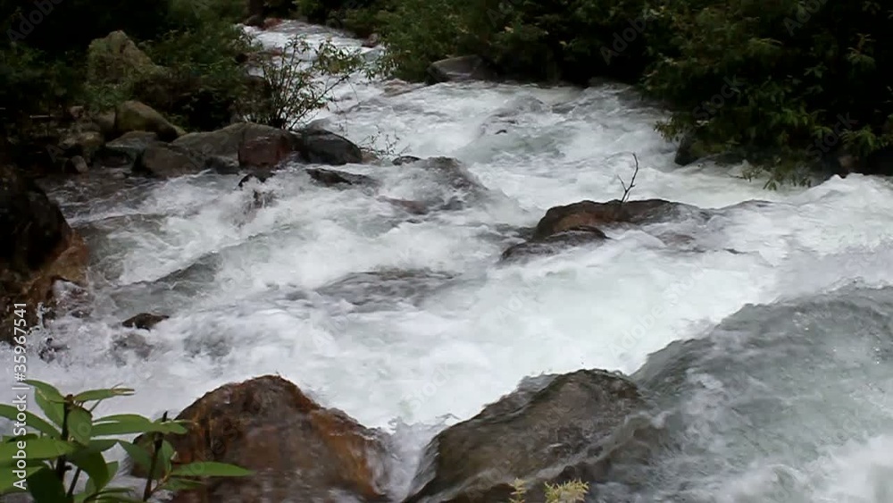 Stream rapids in Himalaya mountains, Sikkim, India Stream rapids in Himalaya mountains, Sikkim, India