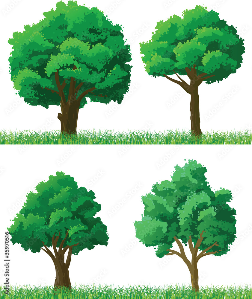 Green trees