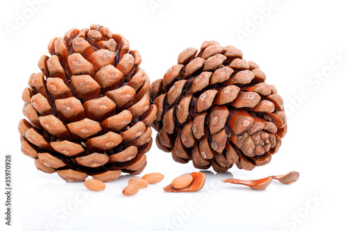Ripened cone with pine nuts on white photo
