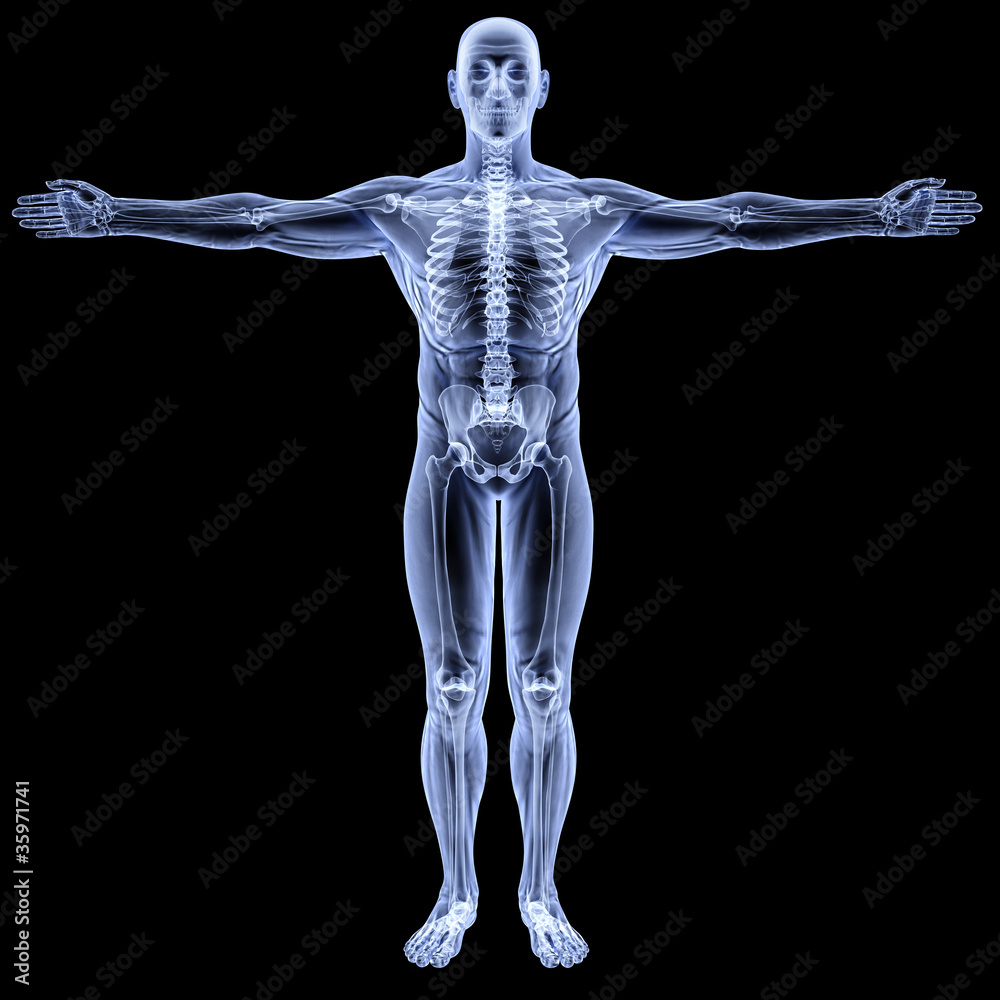body body