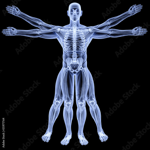 vitruvian