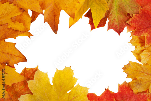 Colorful frame of fallen autumn leaves