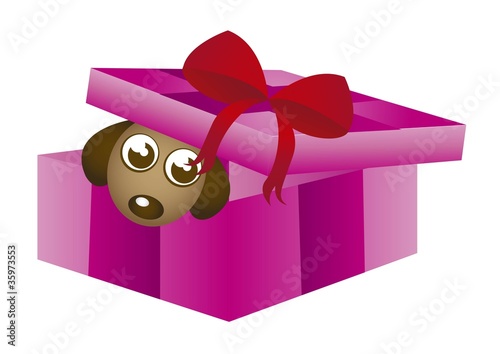gift box with dog