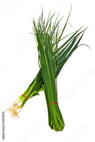 Chive bundle with bulb onion isolated over white background.