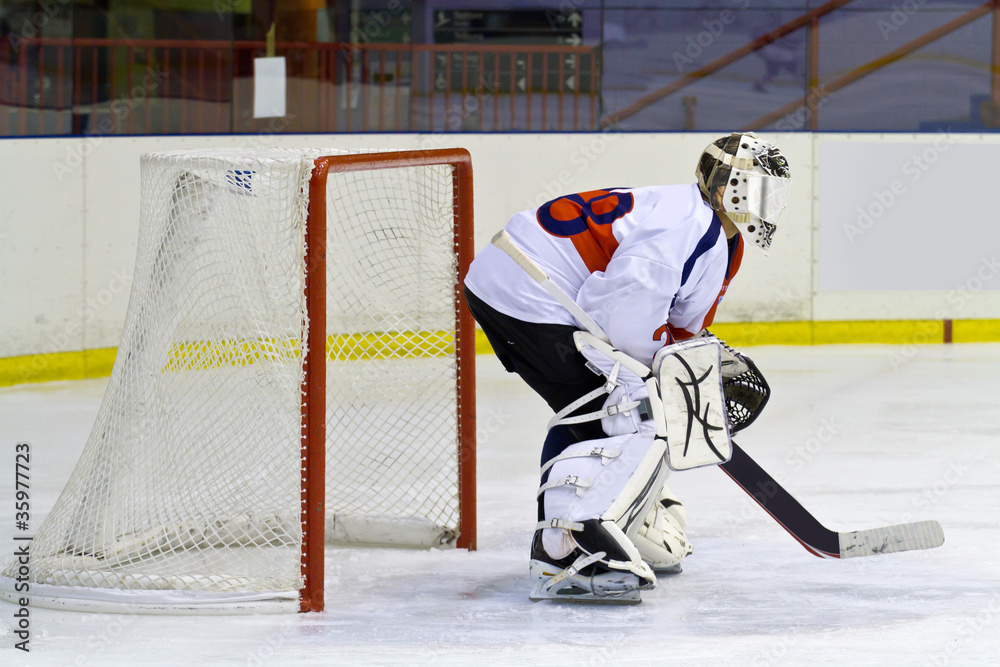 Fototapeta premium hockey goalie