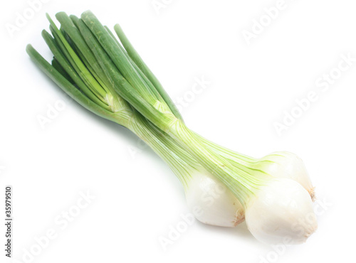 Spring onion on white background