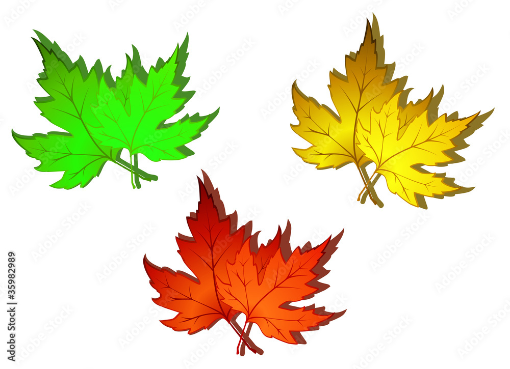 Autumn colorful leaves Autumn colorful leaves