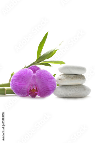 Spa stacked of stones with orchid and bamboo grove