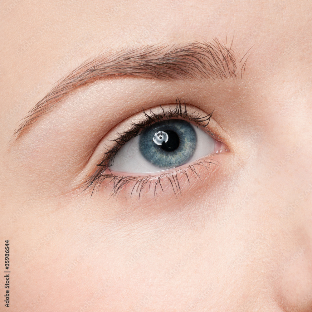 Cosmetic paint brush - close-up portrait of eye shadow zone Cosmetic paint brush - close-up portrait of eye shadow zone